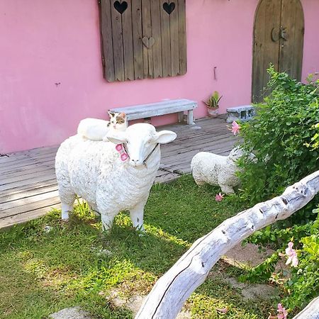 Whitiedoggie Villa Cape Eluanbi Zewnętrze zdjęcie