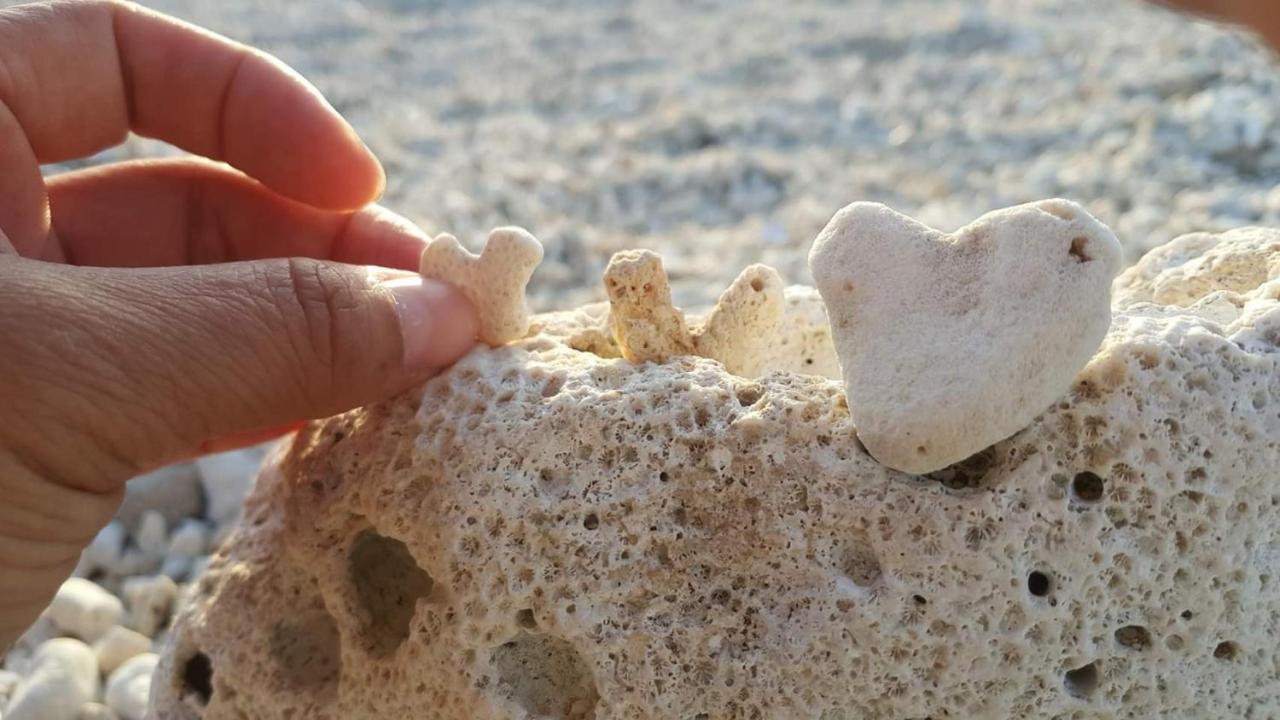 Whitiedoggie Villa Cape Eluanbi Zewnętrze zdjęcie